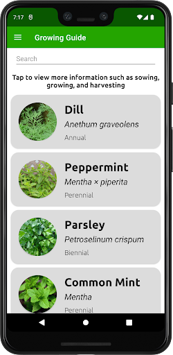 Growing Guide To Herbs 12