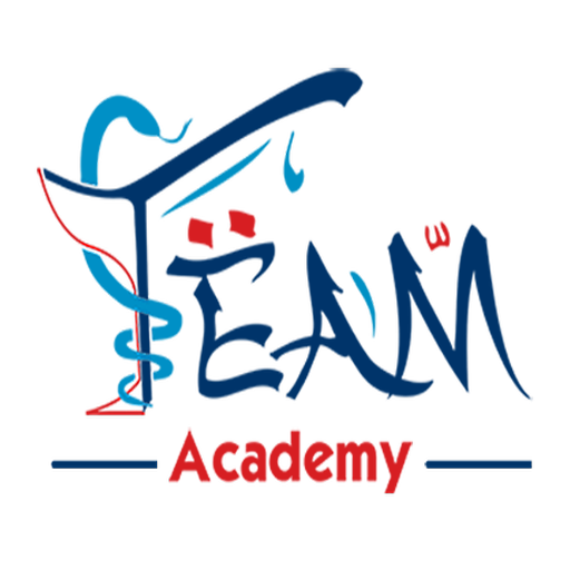 Team Academy logo