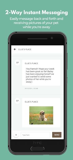 Screenshot of Ellie's Place
