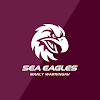 Manly-Warringah Sea Eagles icon