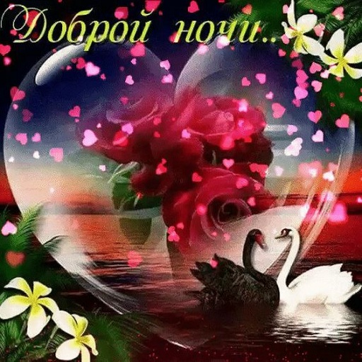 Доброй ночи b