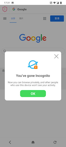 Fireworks Browser Screen 3