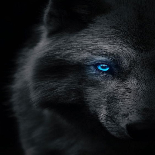 Black Live Wallpaper Изтегляне на Windows