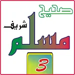 Cover Image of Download Sahih Muslim sharif jalid 3  APK