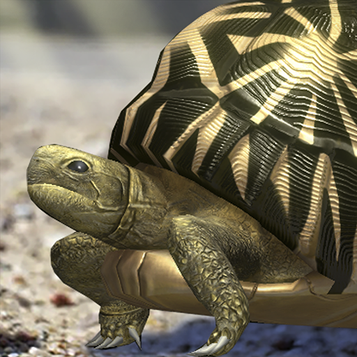 Tortoise to grow relaxedly logo