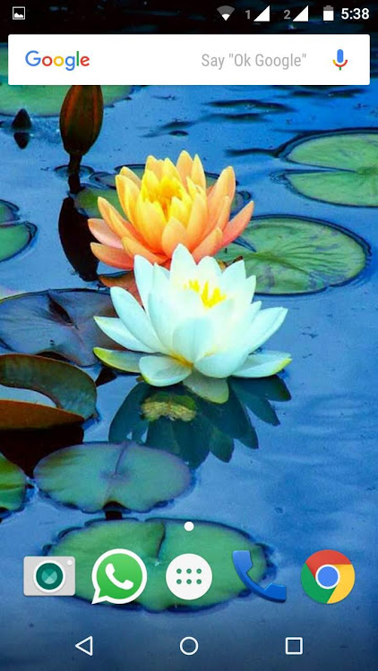 Lotus Flower Wallpaper HD by wallpaperhd - (Android Apps) — AppAgg