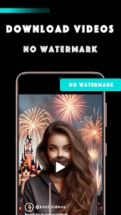 TikSaver Download No Watermark