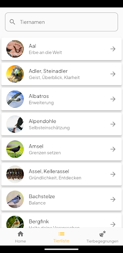 Tierbegegnungen deuten Screen 3