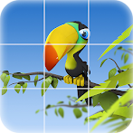 Parrot Puzzle