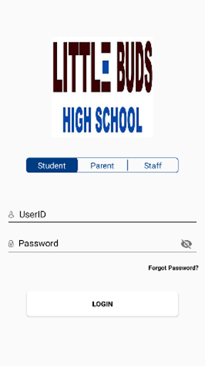 Little buds high school