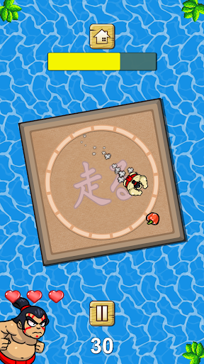 Sumo Smash Evolution