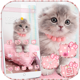 Pink Cute Kitty Cat Theme icon