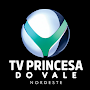TV Princesa do Vale