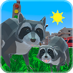Cover Image of Download Raccoon Adventure Simulator 3D  APK