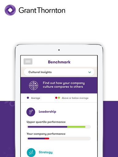 Business Risk Services