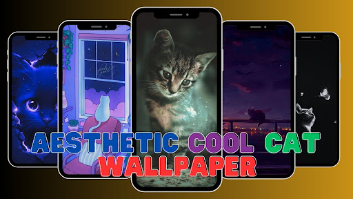 Aesthetic Cool Cat Wallpaper