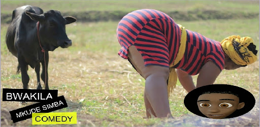 Bwakila- video za vichekesho