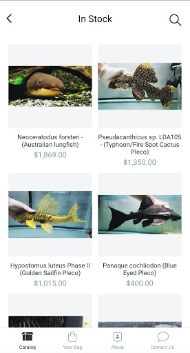 Jasons Plecos & Cichlids LLC Screen 2
