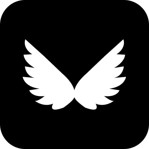 Wing VPN Logo