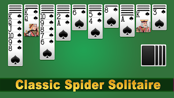 Spider Solitaire: Card Games