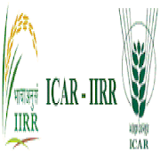 RKMP Rice Crop FAQ's