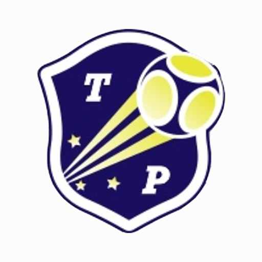 Torneos De Puntin logo