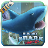 Tips hungry Shark Evolution icon