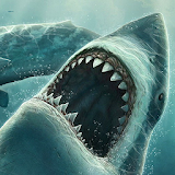 moving shark wallpaper icon