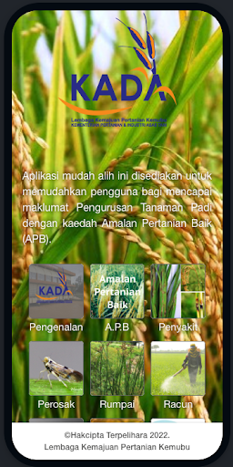 My Padi Screen 2