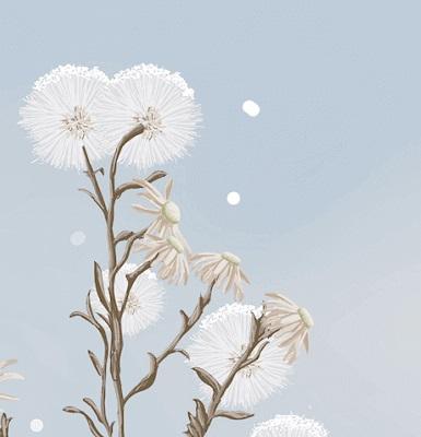 IQQI Dandelion Theme Screen 3