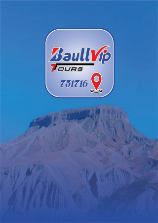 Radio Taxi Baull Vip Cliente Screen 3