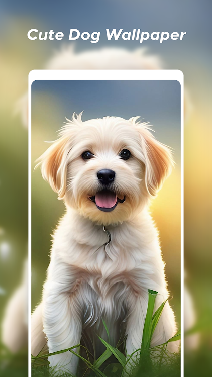 Dog Wallpapers HD - 5.24.1 - (Android)
