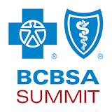 BCBSSVS 2020 icon