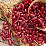 Cover Image of ดาวน์โหลด Kidney Beans Benefits राजमा के फायदे और नुकसान 1.0.0.1 APK