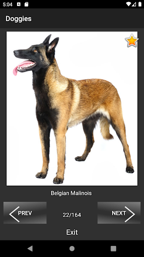 Android application Doggies screenshort