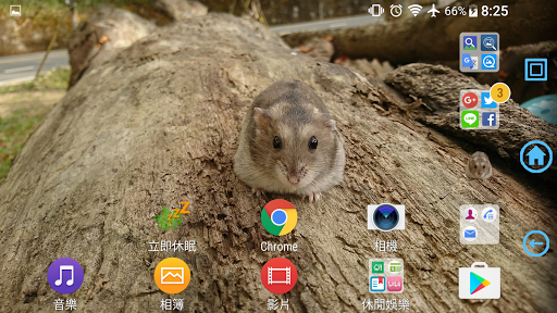 可愛倉鼠主題 Screen 3