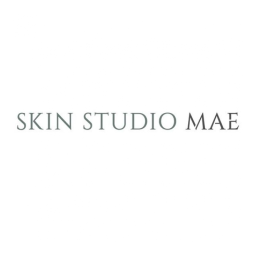 Skin Studio MAE 1.0 Icon