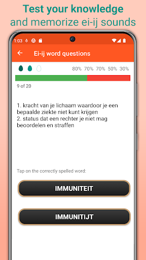 Ei-ij Spelling Dutch Screen 2