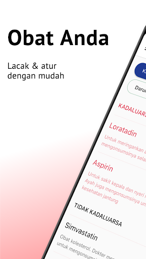 Pratinjau aplikasi