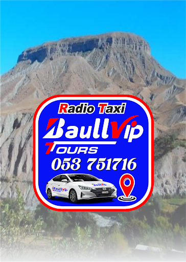 Android application Radio Taxi Baull Vip Conductor screenshort