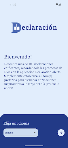 Declaration Alerts Screen 3
