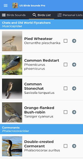 American Birds Sounds Pro Screen 3