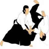Techniques de Base Aikido icon