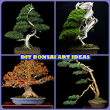DIY Bonsai Art Ideas icon