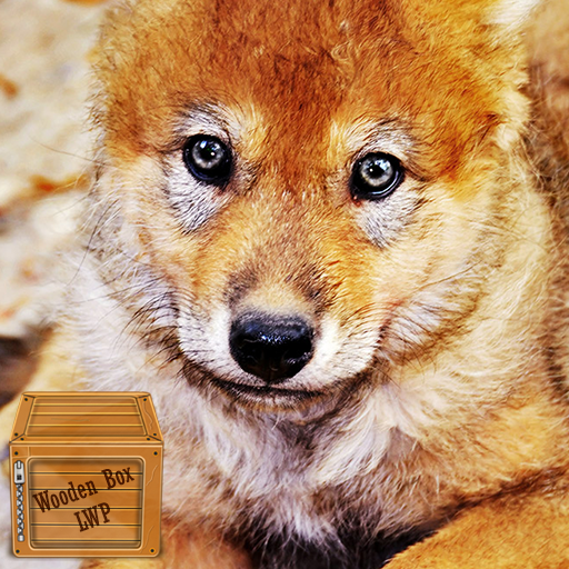 baby wolf wallpaper logo