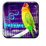 Lovebird Kusumo Trick icon