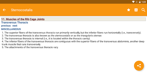 Screenshot of The Muscular System Manual