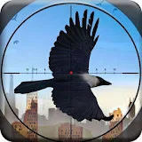 City Crow Hunter Free Hunting icon