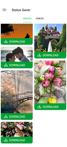 Status Story  Download and Save Status WhatsApp