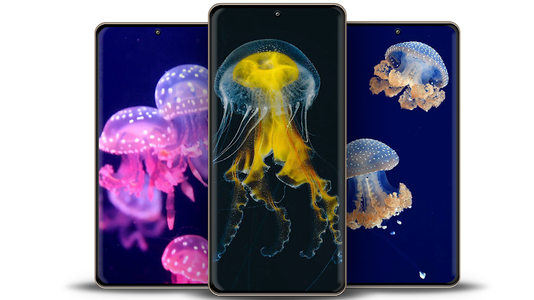 Jellyfish Wallpaper - 6.1.0 - (Android)
